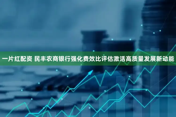 一片红配资 民丰农商银行强化费效比评估激活高质量发展新动能
