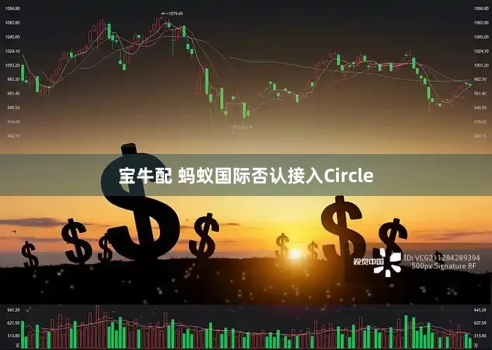 宝牛配 蚂蚁国际否认接入Circle