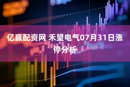 亿赢配资网 禾望电气07月31日涨停分析
