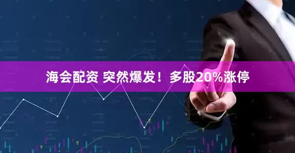 海会配资 突然爆发！多股20%涨停