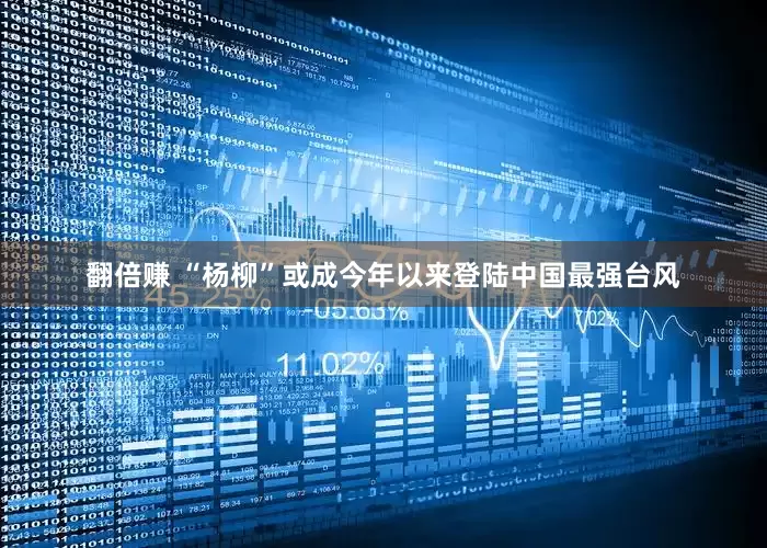 翻倍赚 “杨柳”或成今年以来登陆中国最强台风