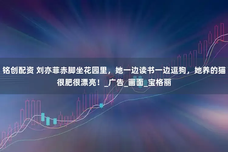 铭创配资 刘亦菲赤脚坐花园里，她一边读书一边逗狗，她养的猫很肥很漂亮！_广告_画面_宝格丽