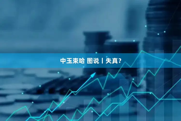 中玉束哈 图说丨失真？